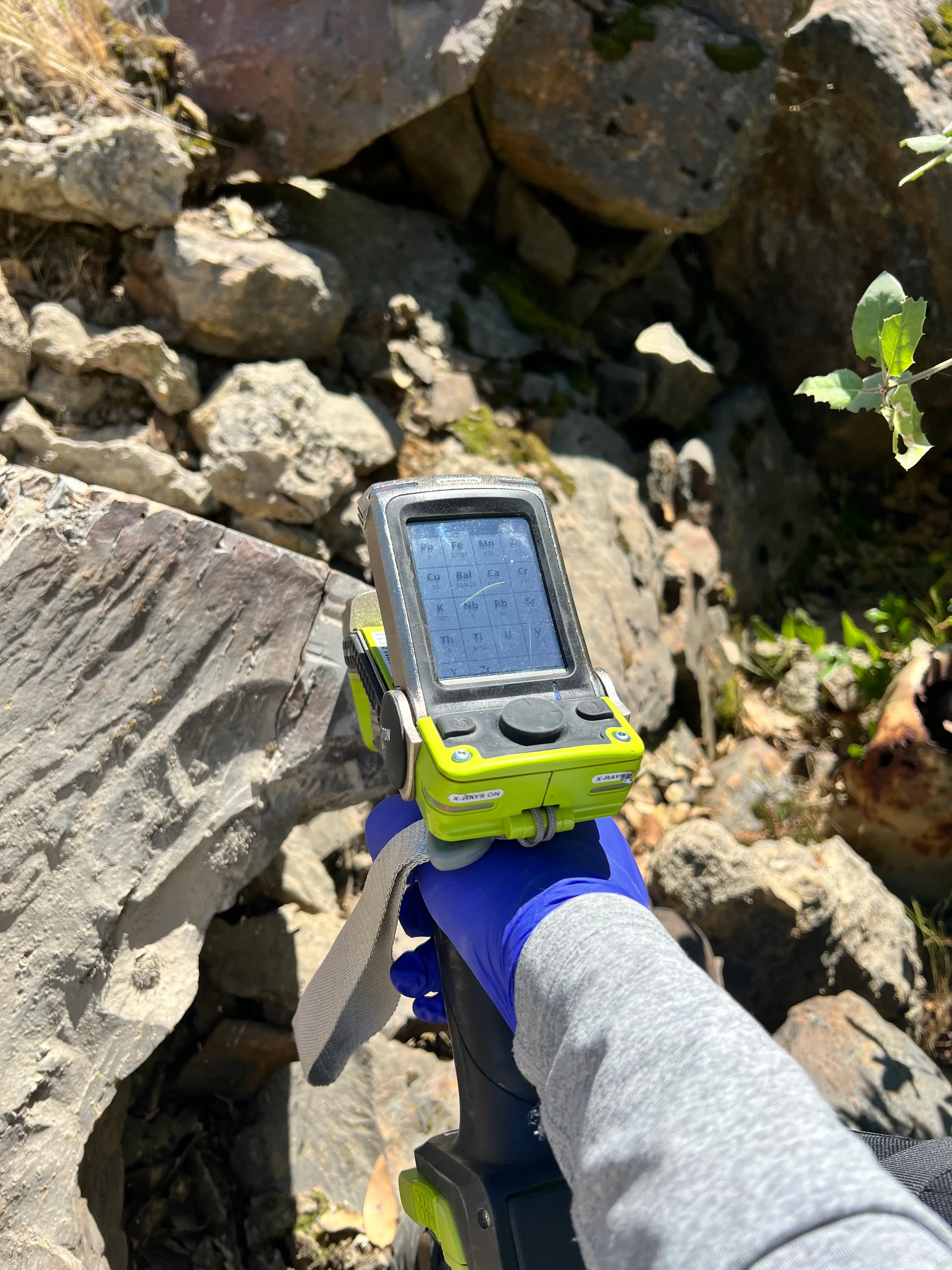 Taking a handheld XRF reading directly on exposed rock.